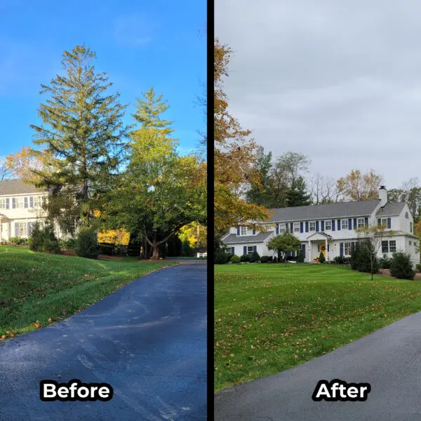 House Before and After