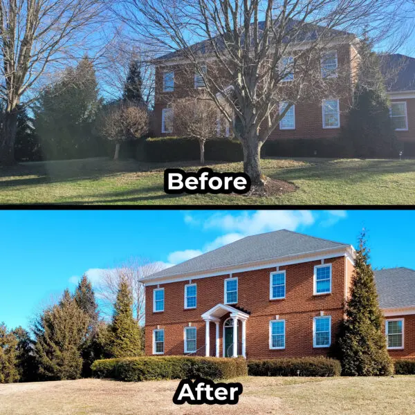 Yard Before and After