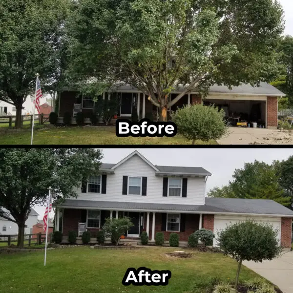 West Chester Bradford Pear Tree Removal