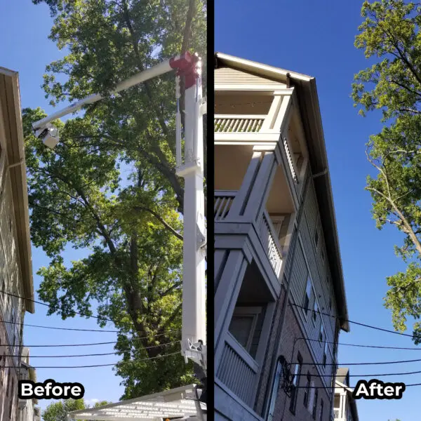 Railing Before and After