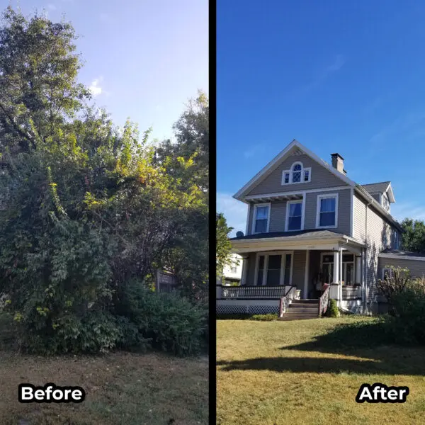 Side yard before and after