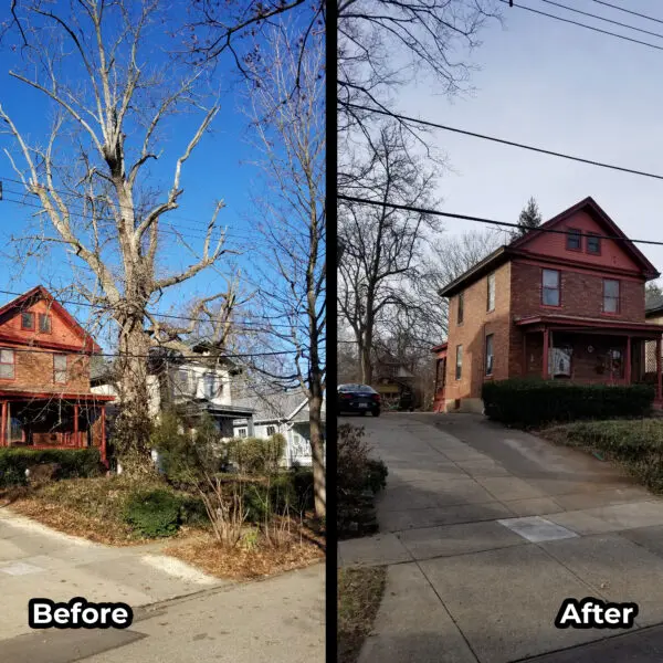 Driveway Before and After