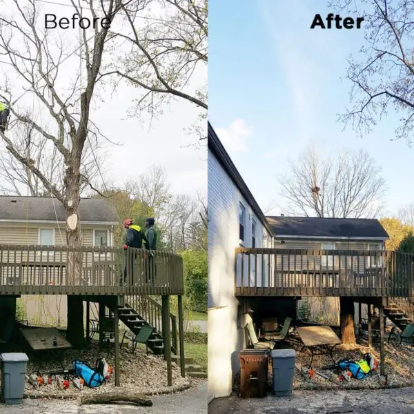 Before-After Stairs