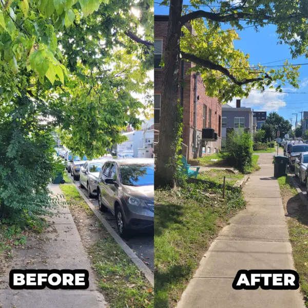 Before and After Sidewalk
