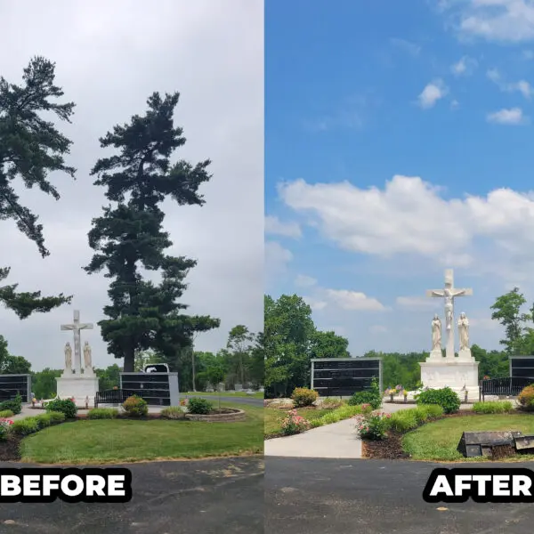 Cemetery Before and After