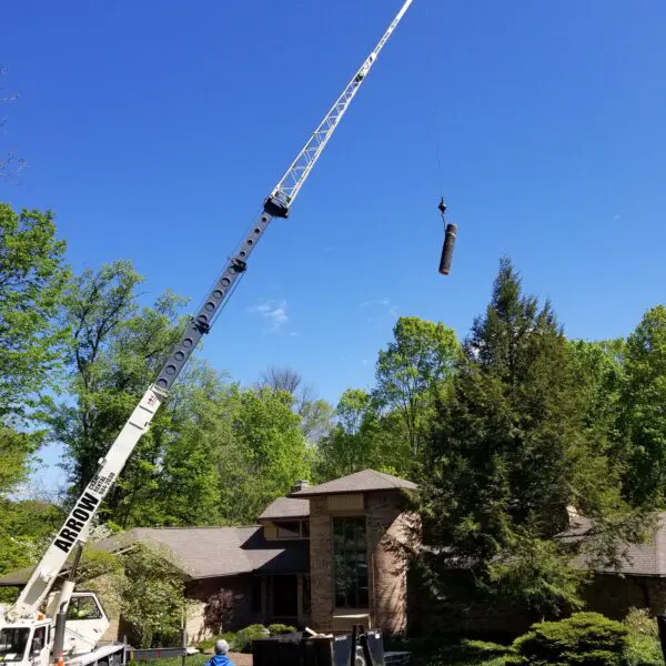 Crane Lifting Part of Tree