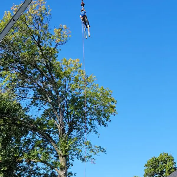 Technician Dangling from Wire