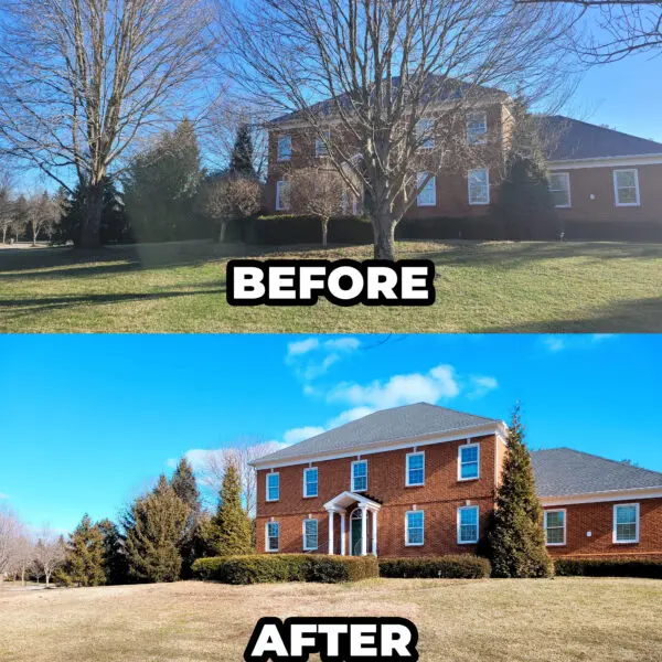Before and After Home
