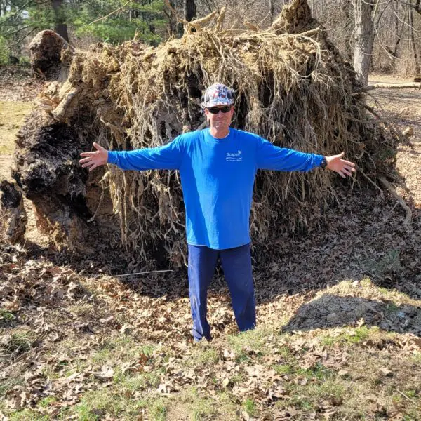 Tipped Over Tree Stump