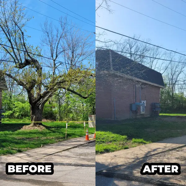 Before and After Building