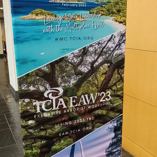 TCIAWMC '23