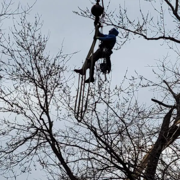 Technician Hanging from Ropes