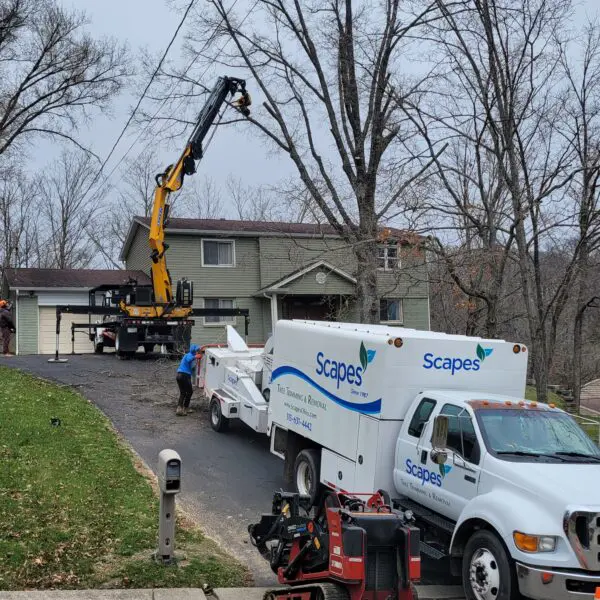 Grapple Saw Crane Truck