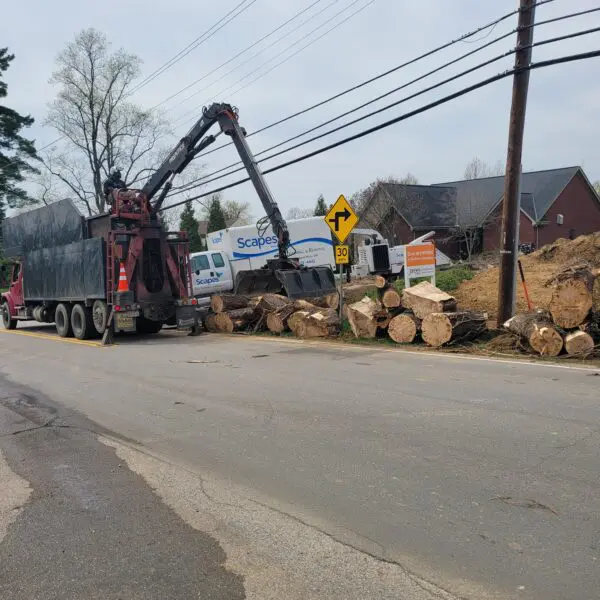 Logs