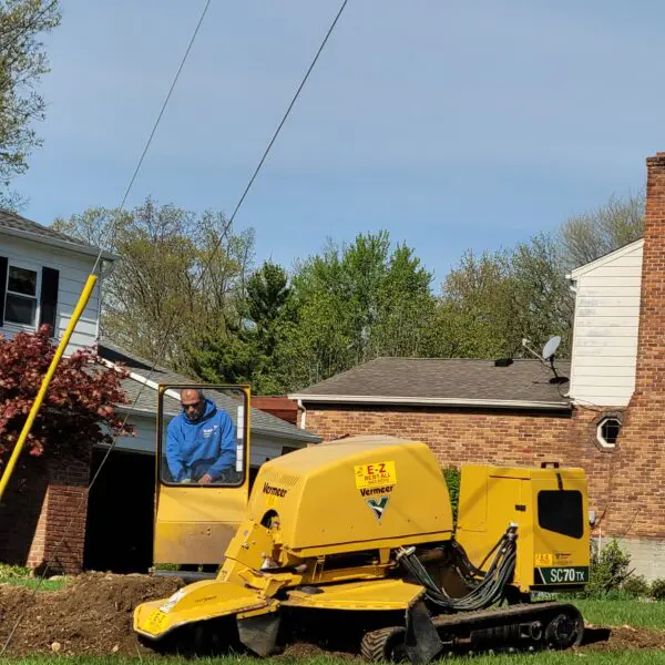 Stump Grinding