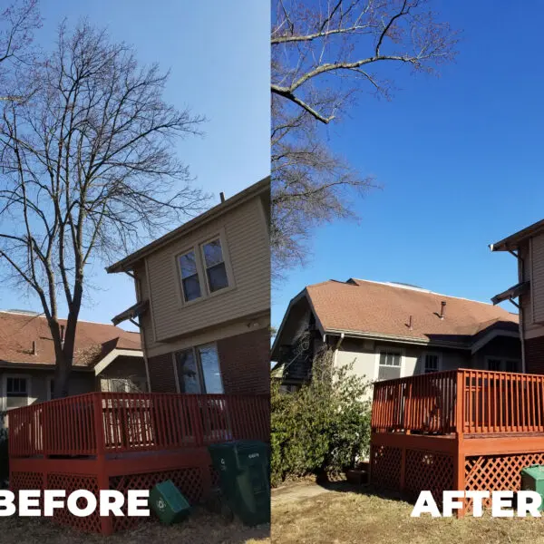 Before and After Deck