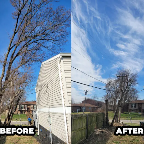 Before and After House