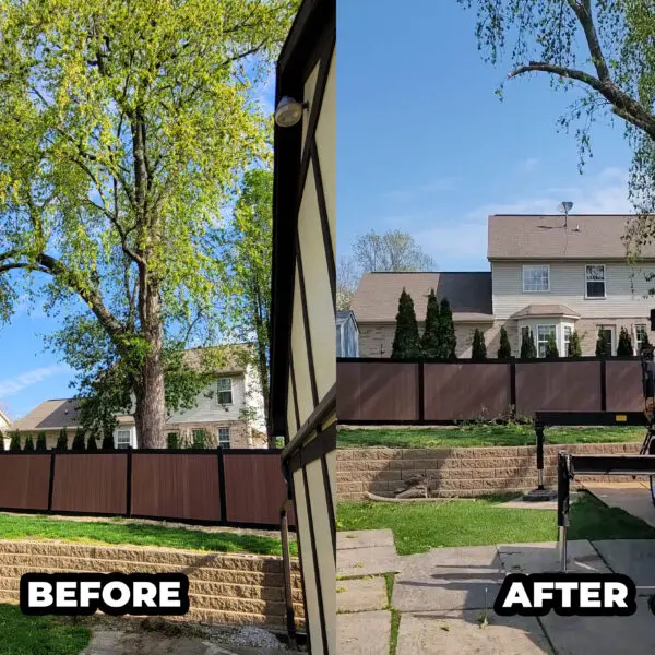 Yard Before and After