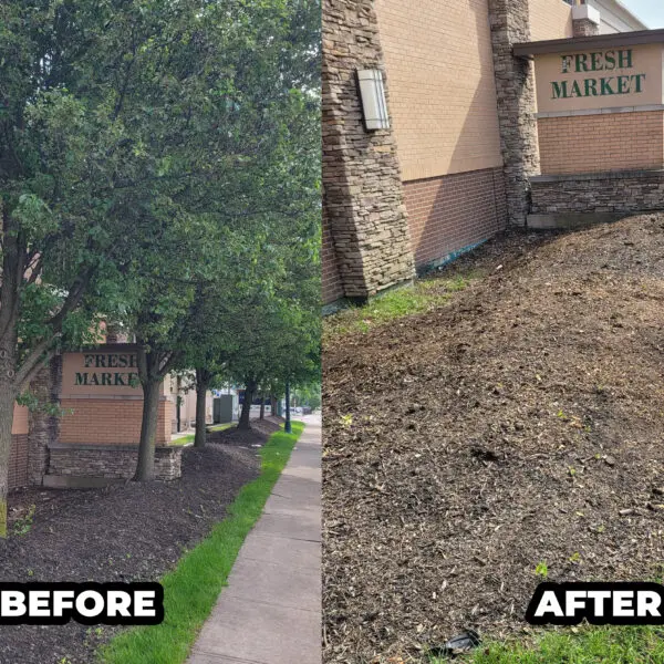Before and After Fresh Market