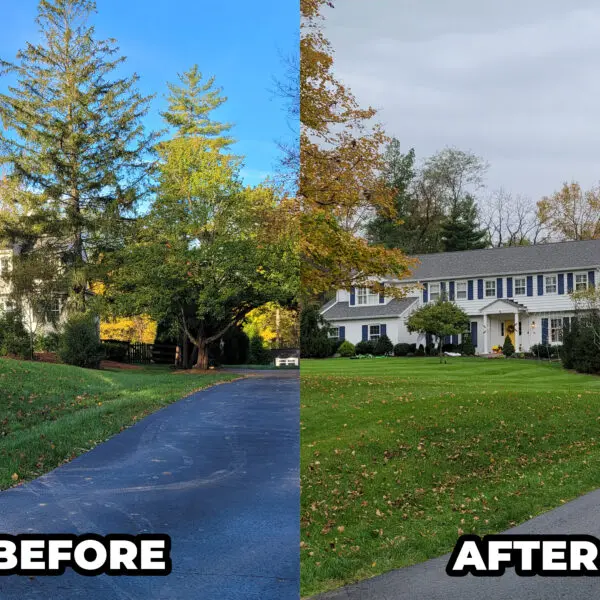 Before and After Driveway