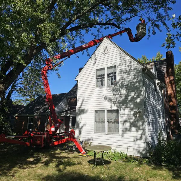 Backyard Spider Lift