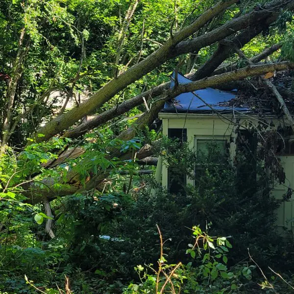Oxford Storm Damage