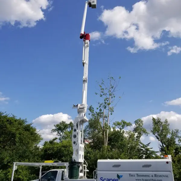 Bucket Truck