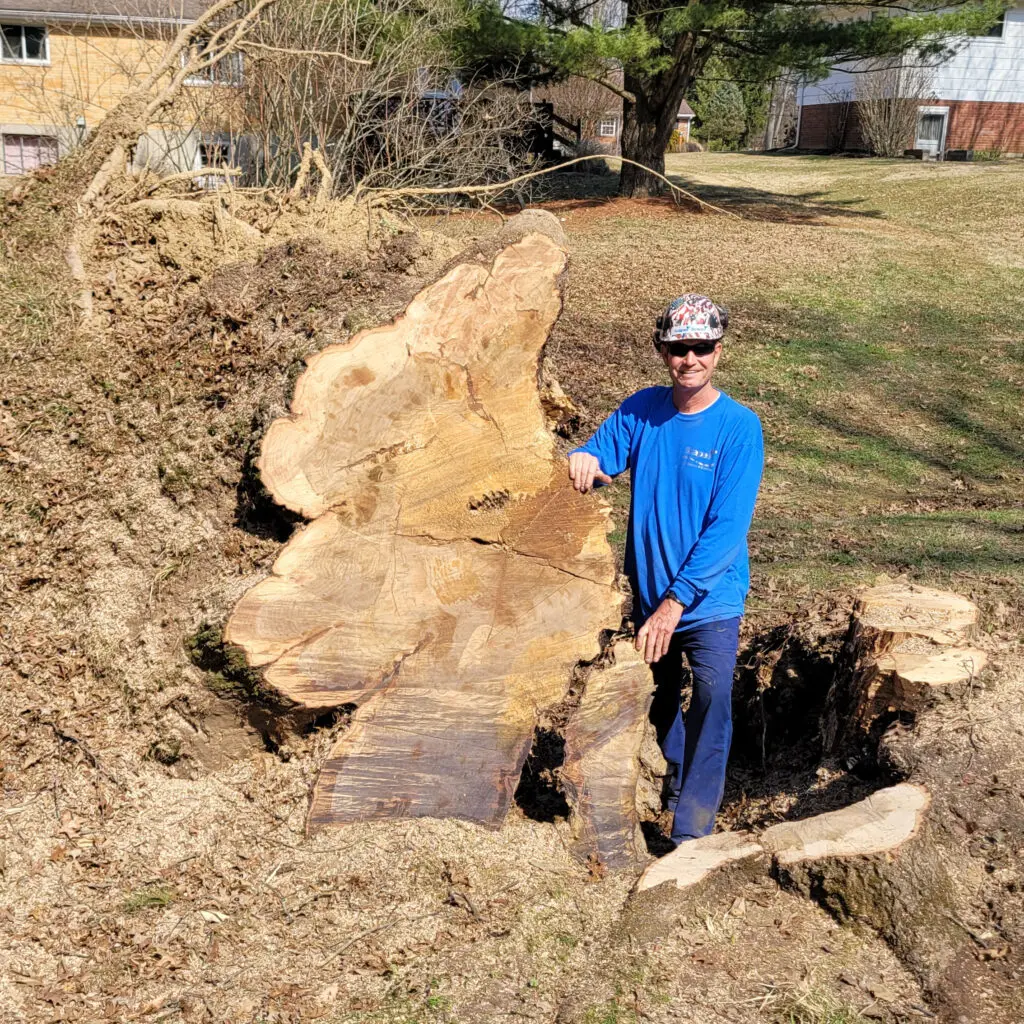 Joe Semrad Scapes Trees Service