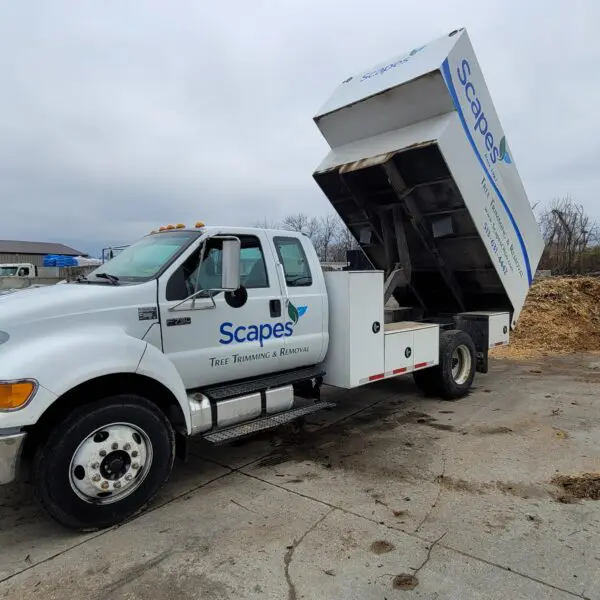 Scapes Trees Removal Equipment