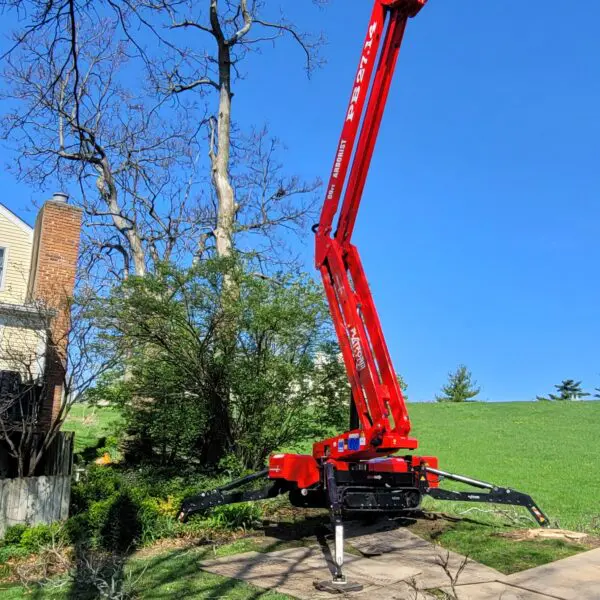 Spider Lift for Tall Tree