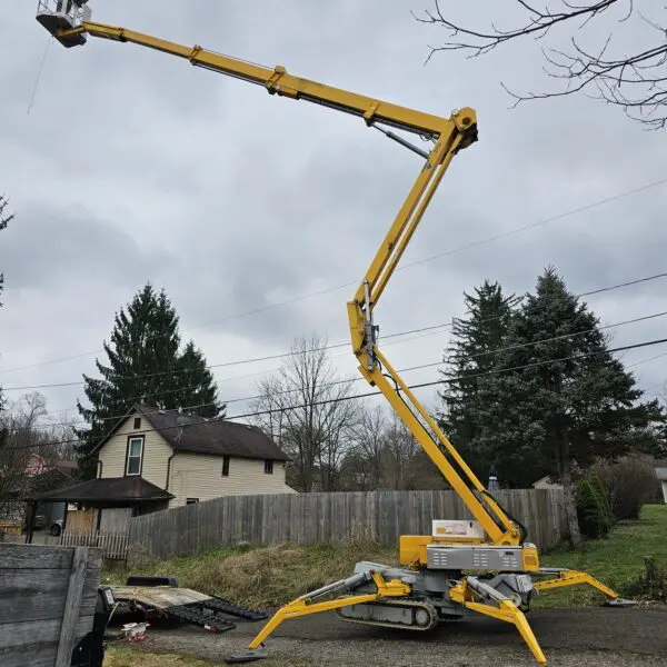 Spider Lift Tree Removal