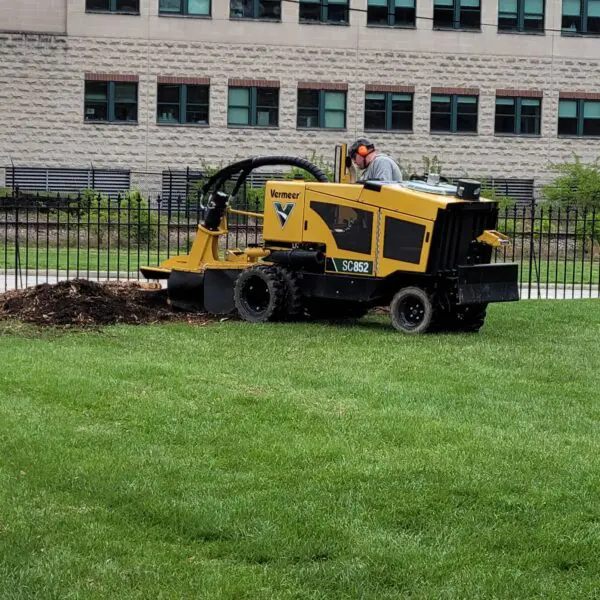 Stump Removal