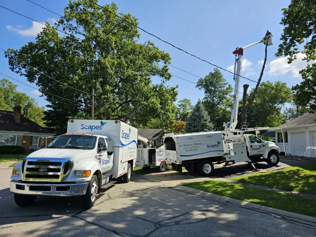 Crew and Trucks Onsite