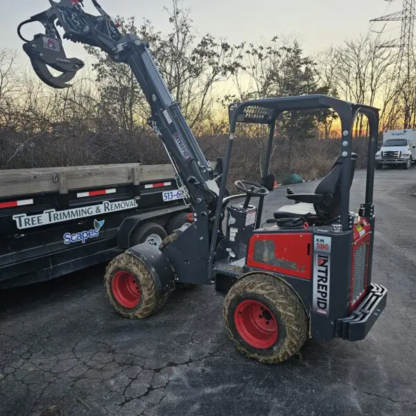 Tree Removal Loading Equipment