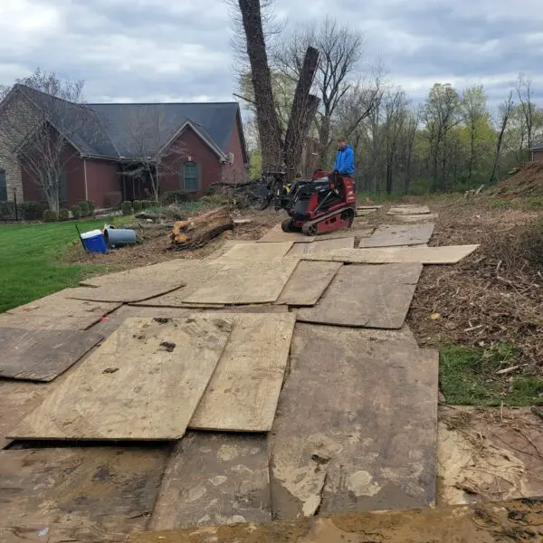 Yard Preservation During Tree Removal