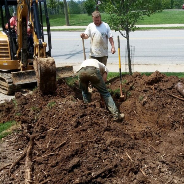 Cincinnati-Drain-Removal-Landscape