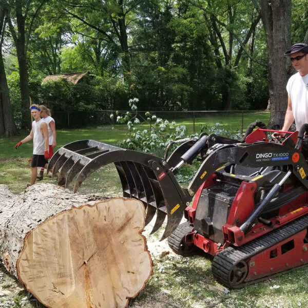 Two workers in a yard clearing fallen tree logs. One person is operating a red Toro Dingo TX1000 mini skid steer with a grapple attachment, while another worker wearing gloves walks beside the large tree trunk sections. The background features a green lawn, trees, and a fence.